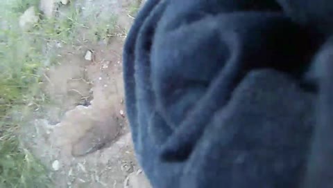 Are thoze da intawebz?