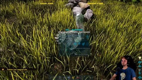 Herr Nachbar, mein Dodo ist auf Ihrem Dach :D