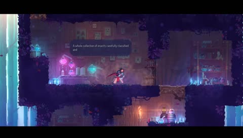 Hollow knight EE