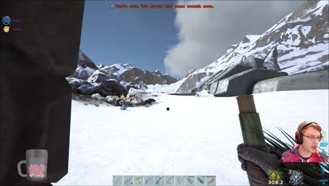 Managarmr Bugged Flying