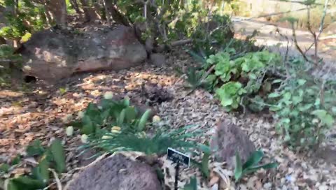 ADD JUST KICKED IN YO!