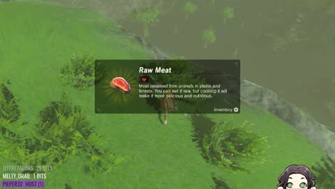 What does every JJ need?