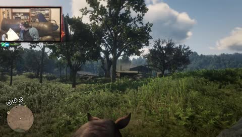 Its not a very good horse Henk...