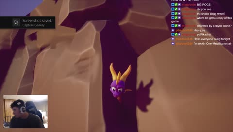 Spyro's Cave