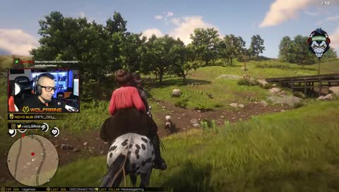 Grande pancada na árvore