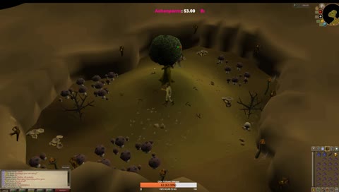 The epic tree battle