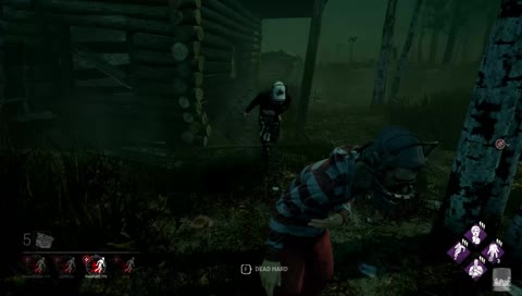 Bullying the Piggy :(