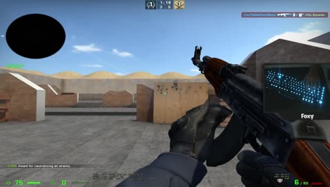 yeah, that was aimpunch