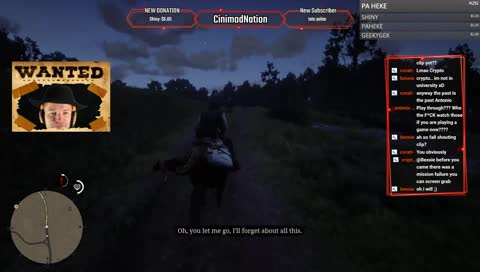Those Darn npcs again!