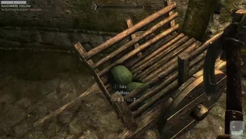 cabbage finds cabbage