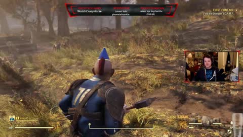Broken/Frozen dog in Fallout 76