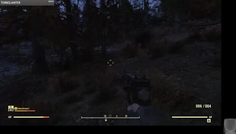 alien discovers window shutters