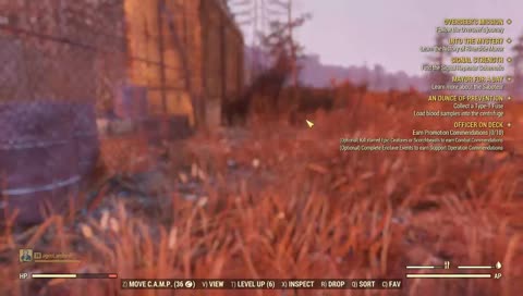 Fallout 76: Excited baby one shot kills half Deathclaw Matriarch using Jack Sparrow's gun.
