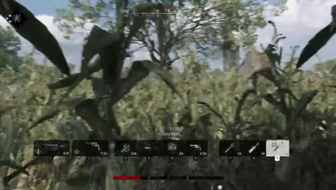 Hunt: Showdown bug