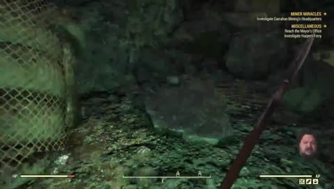 Weird glitch? [Fallout 76]