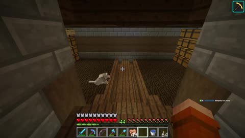 stimulate your senses