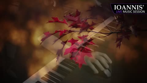 November 16, 2018 - Clip 1