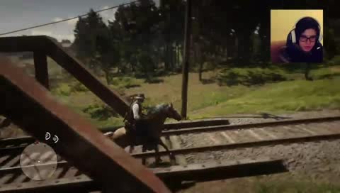 Плотва терпи