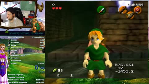 Setup for inverted camera in BotW