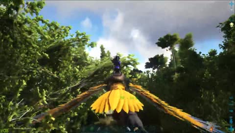 でにが野生に帰った瞬間　；ｗ；