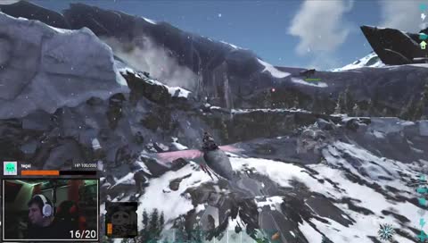 Fly Away Little Moth