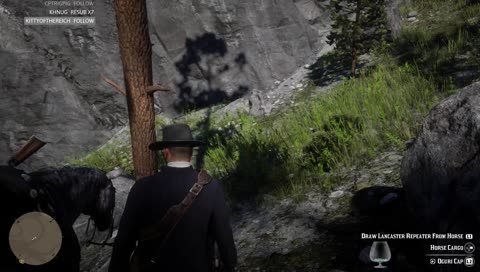 The German vs WT