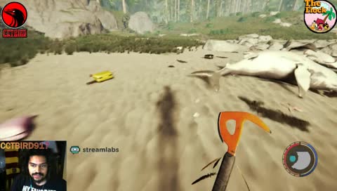 I'm a male entertainer.