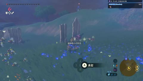 薩爾達：荒野之息 麥子再度被嗡嗡嗡搞到崩潰