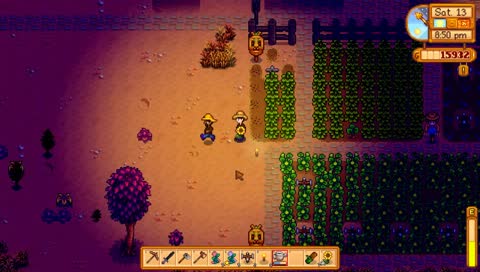 those are some pesky sunflowers pardner