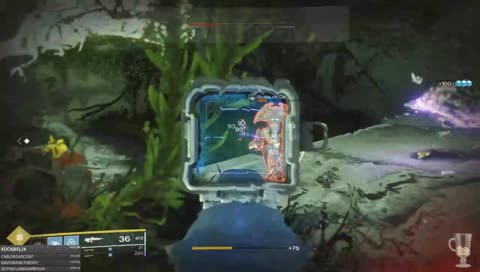 le gustan las marmotas