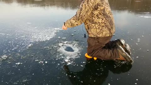 Fish On