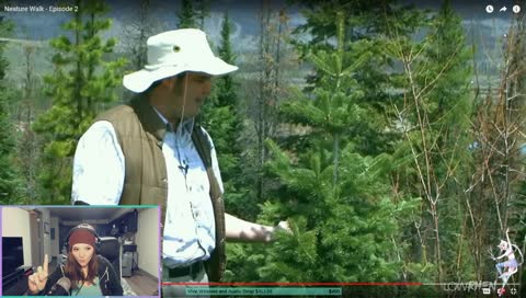 Wait, Christmas Trees Grow All Year Round? !!!That's Pretty Neat!!!