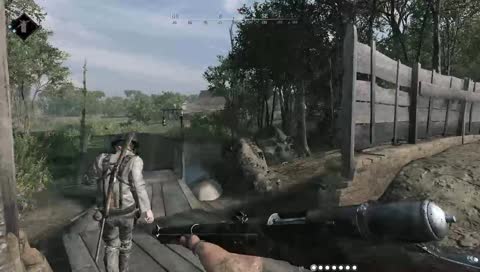 El oso mirando las palomas