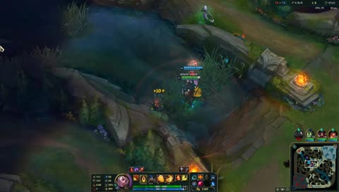 Nice trap