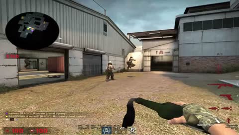 Fancy sandbags molly