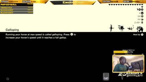 Ganon pp
