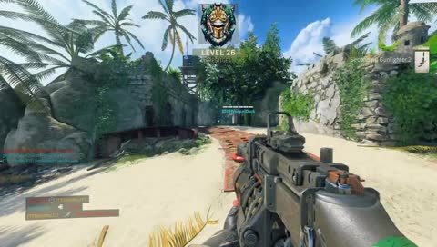 Dog Just Wants To Play On The Beach 