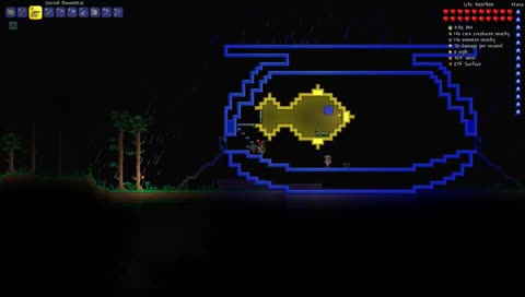 Bugnet Hammer is Best Hammer