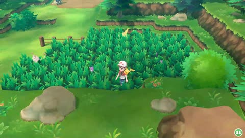 LIVE Shiny Charmander