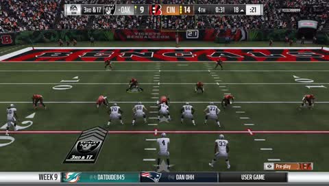 Winning Touchdown (Raiders vs Bengals)