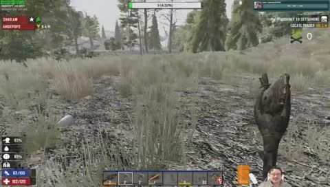 Echoey Angiepops
