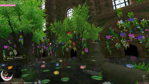 NAD JR seeing color for the first time in 16 years