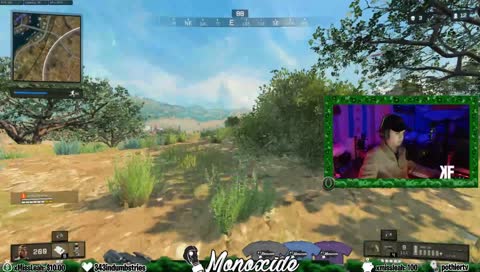 the monkey