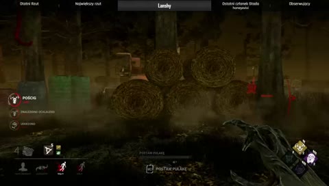 A czo to za przeszukiwanie?