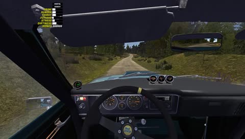 FINNISH SPACE PROGRAM