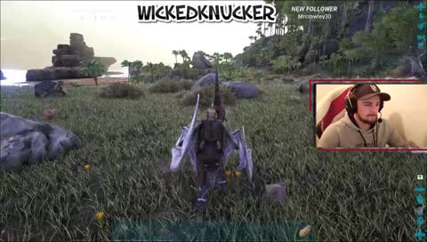 "Jag dödade inga ankor" - wicked 2018