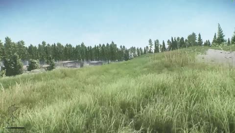 Snake in the grass