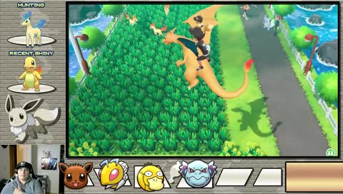 Random Shiny Chansey!