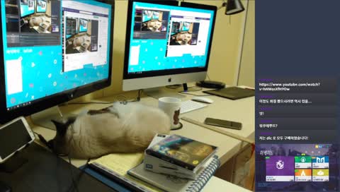 #12 감기조심! feat.바삭바삭