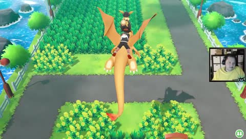 Shiny du Hayvan
